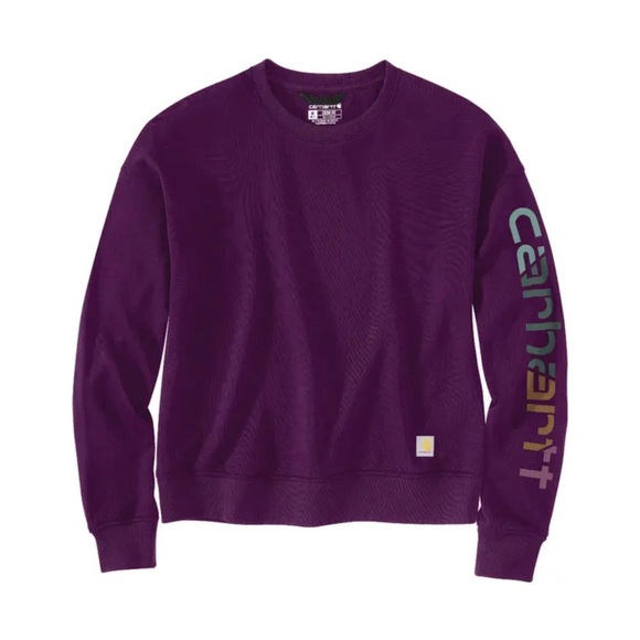CARHARTT NWOT Tencel Fiber Series Loose Fit Sleeve Graphic Sweatshirt - Picture 1 of 8